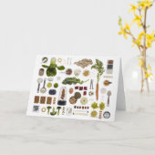 Gesunde Ernährung auf weißem Hintergrund. Karte (Gelbe Blume)