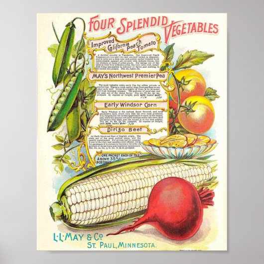 Gesunde, farbenfrohe Veggies Vintages Saatgut Poster (Vorne)