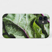 Gesunde Früchte Case-Mate iPhone Hülle (Rückseite (Horizontal))