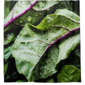 Gesunde Früchte Duschvorhang (Vorderseite)