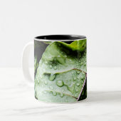 Gesunde Früchte Zweifarbige Tasse (Vorderseite Links)