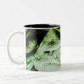Gesunde Früchte Zweifarbige Tasse (Links)