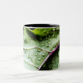 Gesunde Früchte Zweifarbige Tasse (Mittel)