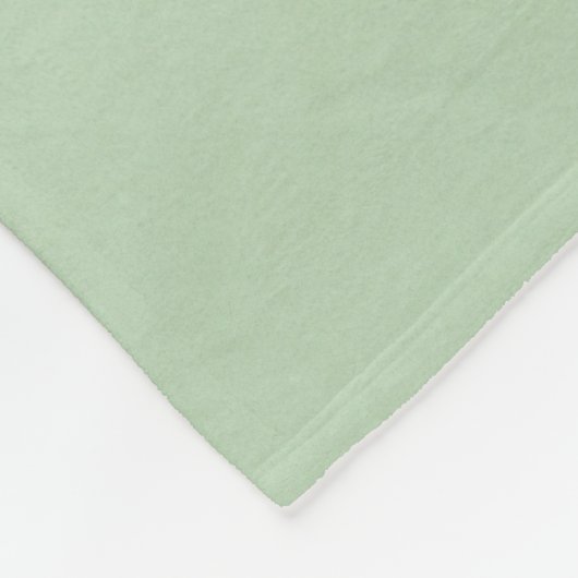 Gesunde Lebensmittel Fleecedecke (Ecke)