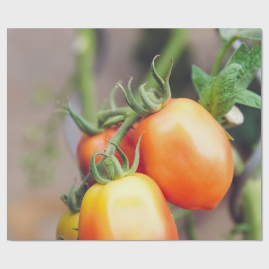 Gesunde Lebensmittel Geschenkpapier (Flach)