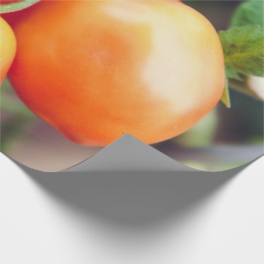 Gesunde Lebensmittel Geschenkpapier (Ecke)