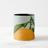 Gesunde Lebensmittel Zweifarbige Tasse (Mittel)