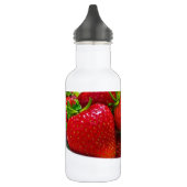 Gesunde Obstsalat Destiny Edelstahlflasche (Links)