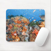 Gesunde Riffstruktur, Komodo-Nationalpark Mousepad (Mit Mouse)