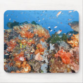Gesunde Riffstruktur, Komodo-Nationalpark Mousepad (Vorne)