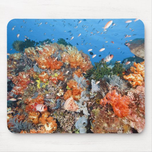 Gesunde Riffstruktur, Komodo-Nationalpark Mousepad (Vorne)