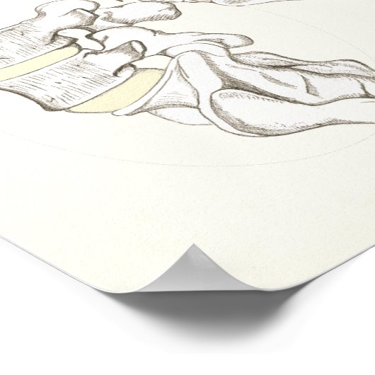 Gesunde Wirbelsäule, starkes körperchiropraktische Poster (Ecke)