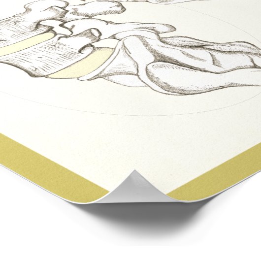 Gesunde Wirbelsäule, starkes körperchiropraktische Poster (Ecke)