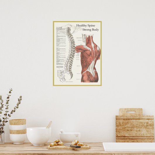 Gesunde Wirbelsäule, starkes körperchiropraktische Poster (Küche)