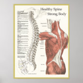 Gesunde Wirbelsäule, starkes körperchiropraktische Poster (Vorne)