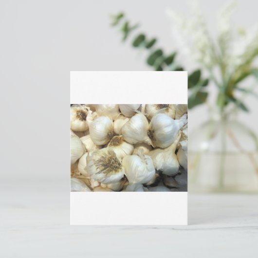 Gesunder Knoblauch Postkarte (Stehend Vorderseite)