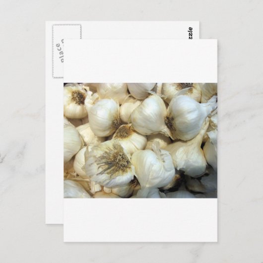 Gesunder Knoblauch Postkarte (Vorne/Hinten)