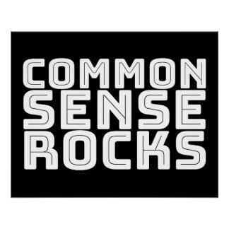 Gesunder Menschenverstand - Logik-Spaß Poster