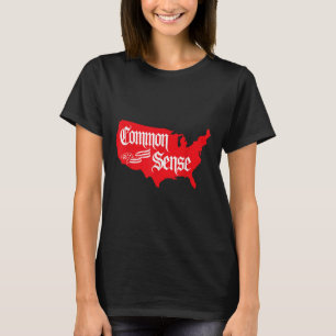 Gesunder Menschenverstand USA Patriotischer Amerik T-Shirt