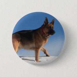 Gesunder und glücklicher deutscher Schäferhund Button