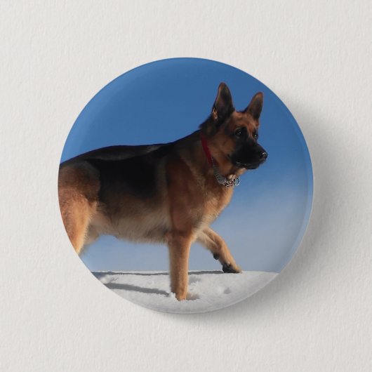 Gesunder und glücklicher deutscher Schäferhund Button (Vorderseite)