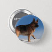 Gesunder und glücklicher deutscher Schäferhund Button (Vorne & Hinten)