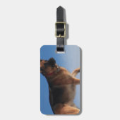 Gesunder und glücklicher deutscher Schäferhund Gepäckanhänger (Vorderseite vertikal)