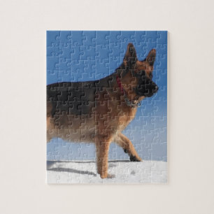 Gesunder und glücklicher deutscher Schäferhund Puzzle