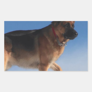 Gesunder und glücklicher deutscher Schäferhund Rechteckiger Aufkleber