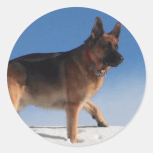 Gesunder und glücklicher deutscher Schäferhund Runder Aufkleber