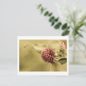 gesundes Versprechen Postkarte (Stehend Vorderseite)