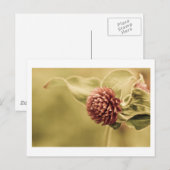 gesundes Versprechen Postkarte (Vorne/Hinten)