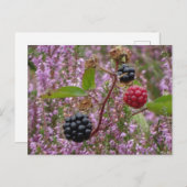 Gesundheit & BlackBerry DIY Postkarte (Vorne/Hinten)