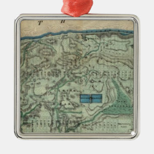 Gesundheitliche und topographische Karte von New Ornament Aus Metall