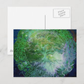 Gesundheitsbaum Postkarte (Vorne/Hinten)