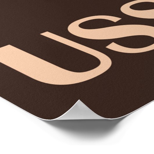 Gesundheitszentren der UdSSR Poster (Ecke)