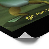 Get Nae'd Dancing Frog Meme Poster (Ecke)