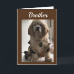GET OUT & CELEBRATE YOUR DAY **BROTHER** CARD KARTE<br><div class="desc">THIS IS MY "16 1/2 YEAR OLD COCKER NAMED DAKOTA! HE LOVES POSING FOR MY CARDS!!!! THANKS FOR STOPPING BY ONE OF MY EIGHT STORES!!! REMEMBER - YOU CAN CHANGE THE 'AGE' AND 'VERSE' ON ALMOST ALL OF MY CARDS!!!!</div>