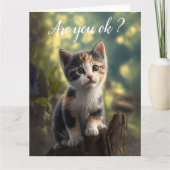 Get Well Adorable Calico Kitten Karte (Vorderseite)