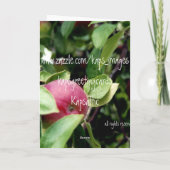 Get Well Apple Karte (Rückseite)