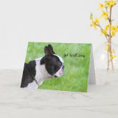 Get Well bald Boston Terrier Grußkarte Karte (Gelbe Blume)