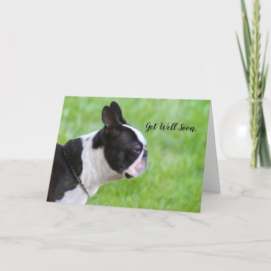 Get Well bald Boston Terrier Grußkarte Karte (Vorderseite)
