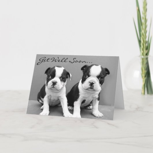 Get Well bald Boston Terrier Welpen Card Karte (Vorderseite)
