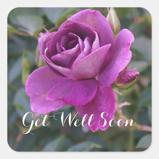 Get Well bald Burgundy Iceberg #2 Stickers (Vorderseite)