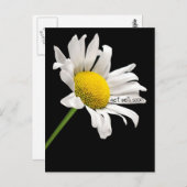 Get Well bald Daisy Postcard Postkarte (Vorne/Hinten)