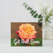Get Well bald Dream Come True Rose #3 Postcard Postkarte (Stehend Vorderseite)