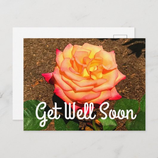 Get Well bald Dream Come True Rose #3 Postcard Postkarte (Vorne/Hinten)