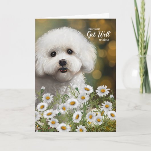 Get Well Bichon Frise Dog Daisies Karte (Vorderseite)