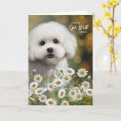 Get Well Bichon Frise Dog Daisies Karte (Gelbe Blume)