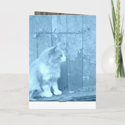 Get Well Blue Kitty Card Karte (Rückseite)